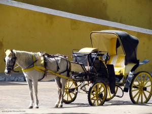 Izamal Calesa