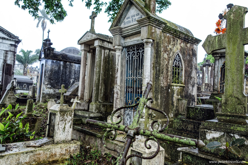 Moss and Lichen Covered Tombs, Antiguo Panteón de Xalapa