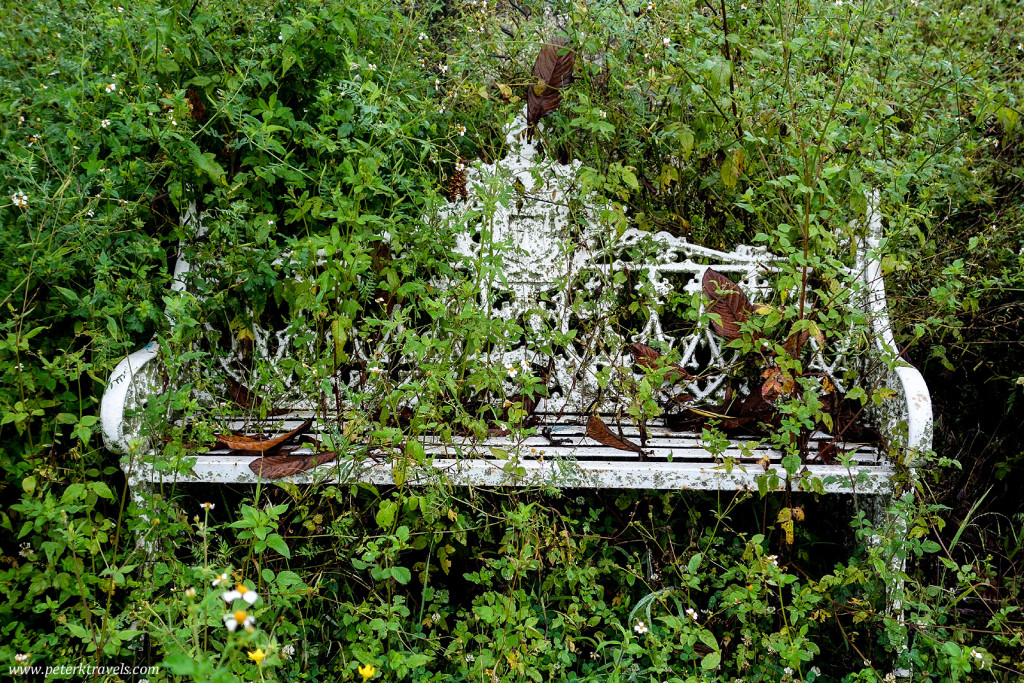 Overgrown Bench, Antiguo Panteón de Xalapa
