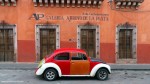 Multi-Colored Bug