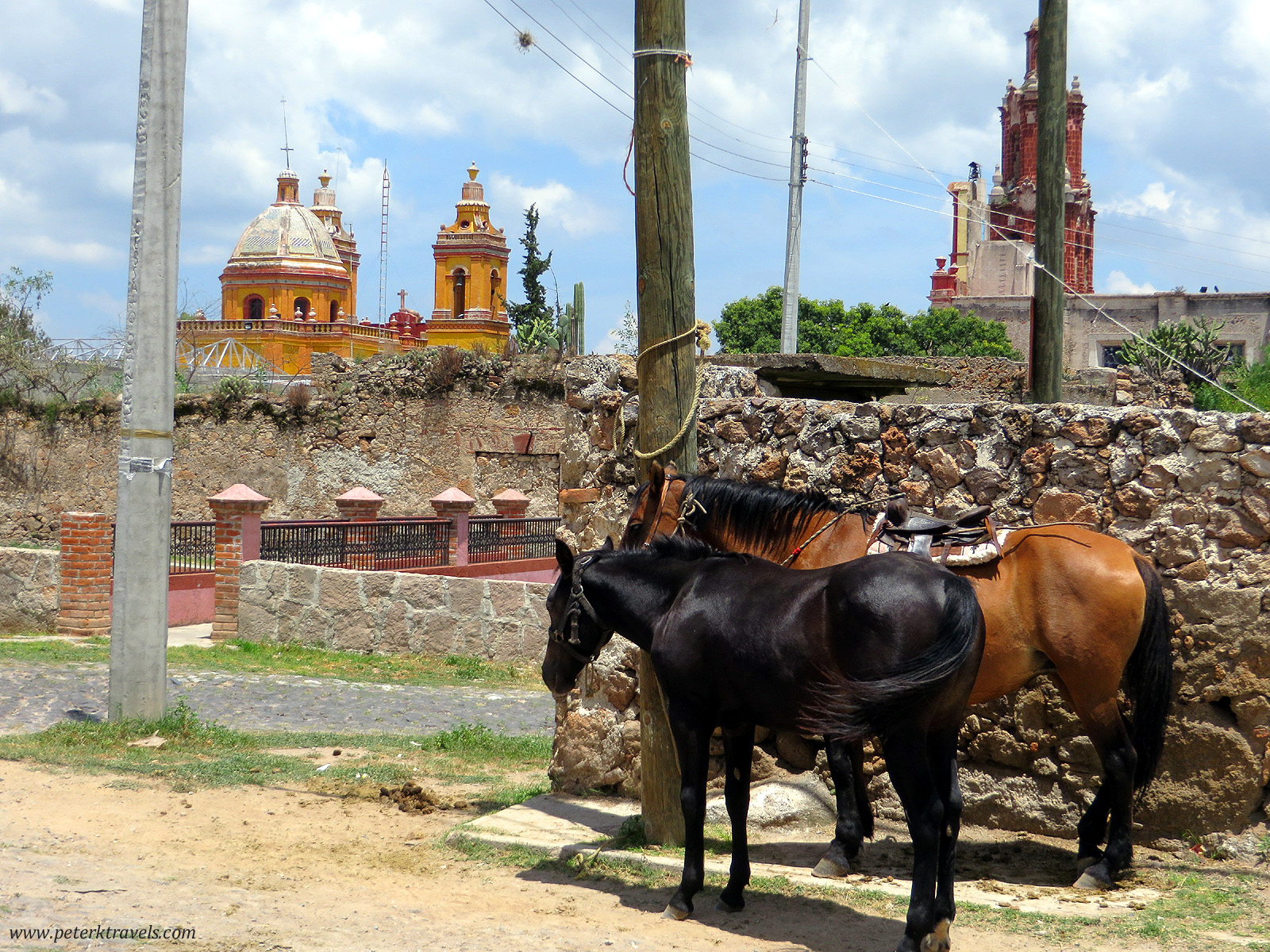 Horses in Cadereyta