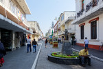 Orizaba