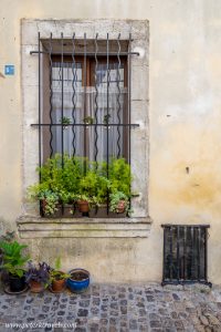 Window, Arles